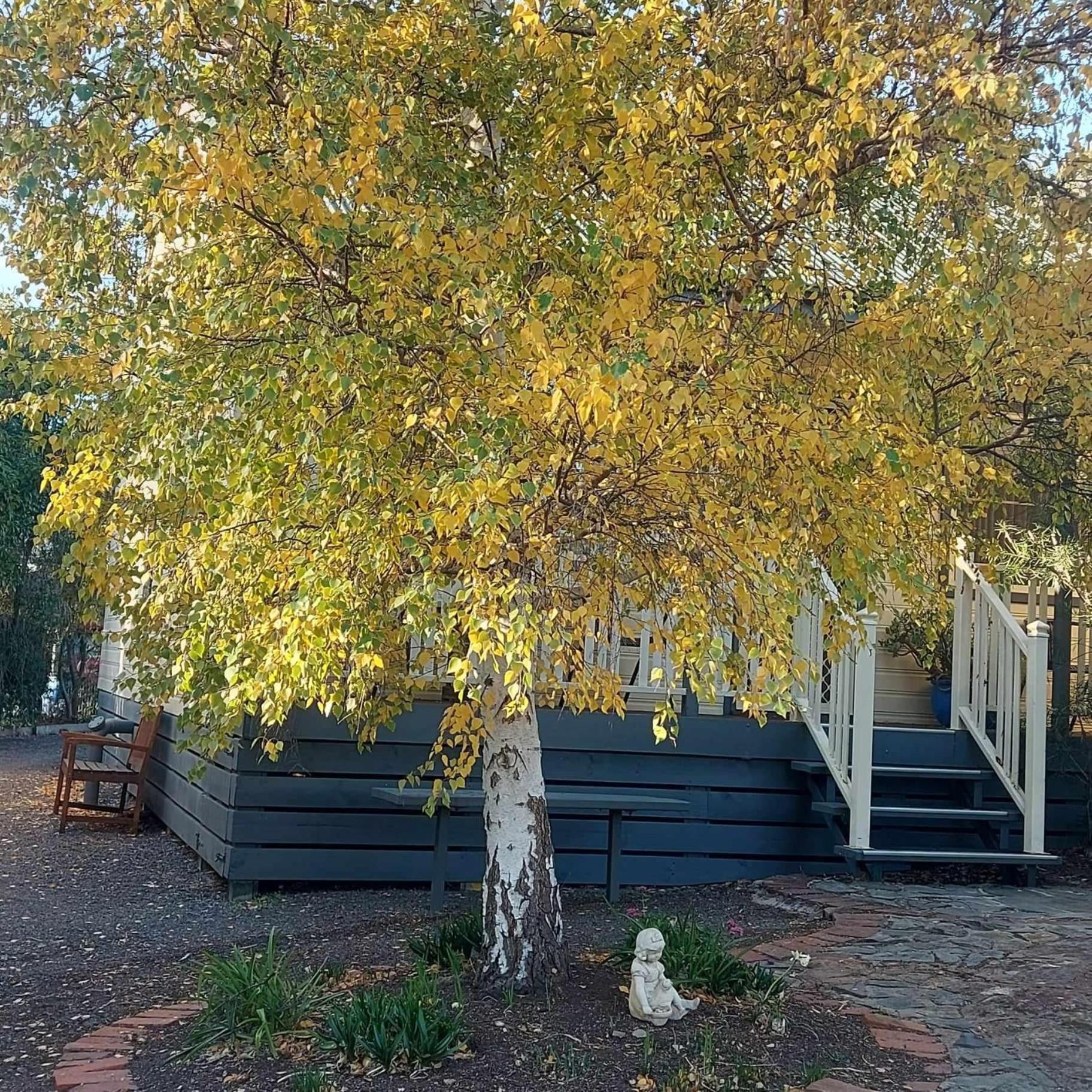 Avoca Cottages Victoria Dış mekan fotoğraf